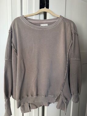 Free People Washed Taupe Crewneck Sweatshirt